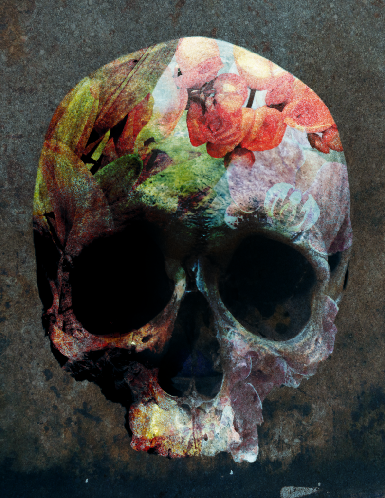 Skull and flowers composite